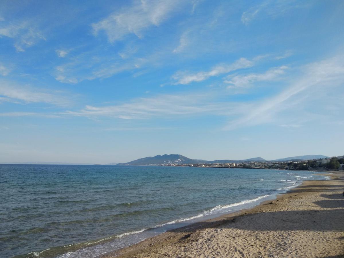 La Vita Apartments-Near Airport & Sea Ártemida Kültér fotó