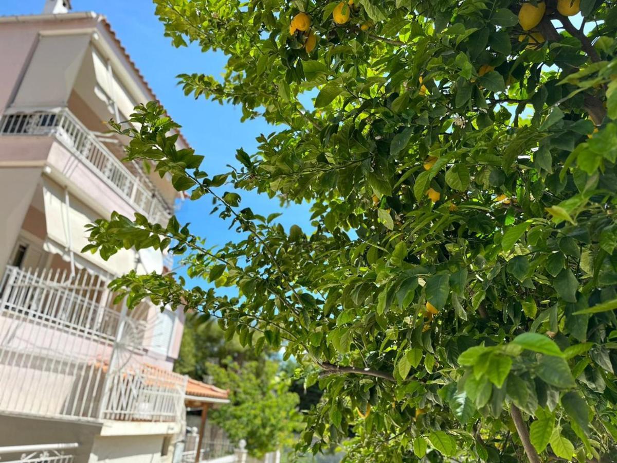 La Vita Apartments-Near Airport & Sea Ártemida Kültér fotó
